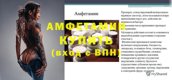 шишки Рославль
