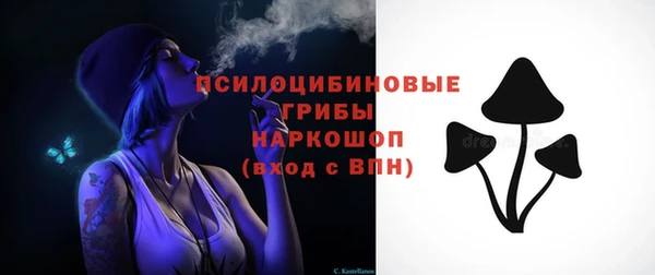 шишки Рославль